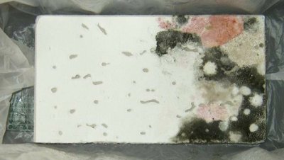 画像3: 石膏ボード用保護剤　ＴＩＭ3000　浸透性吸水防止剤・抗菌剤