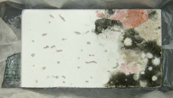 石膏ボード用吸水防止 抗菌剤 tim3000 浸透性吸水防止剤 ad coat 石膏ボード用吸水防止 抗菌剤 tim3000 浸透性吸水防止剤 ad coat